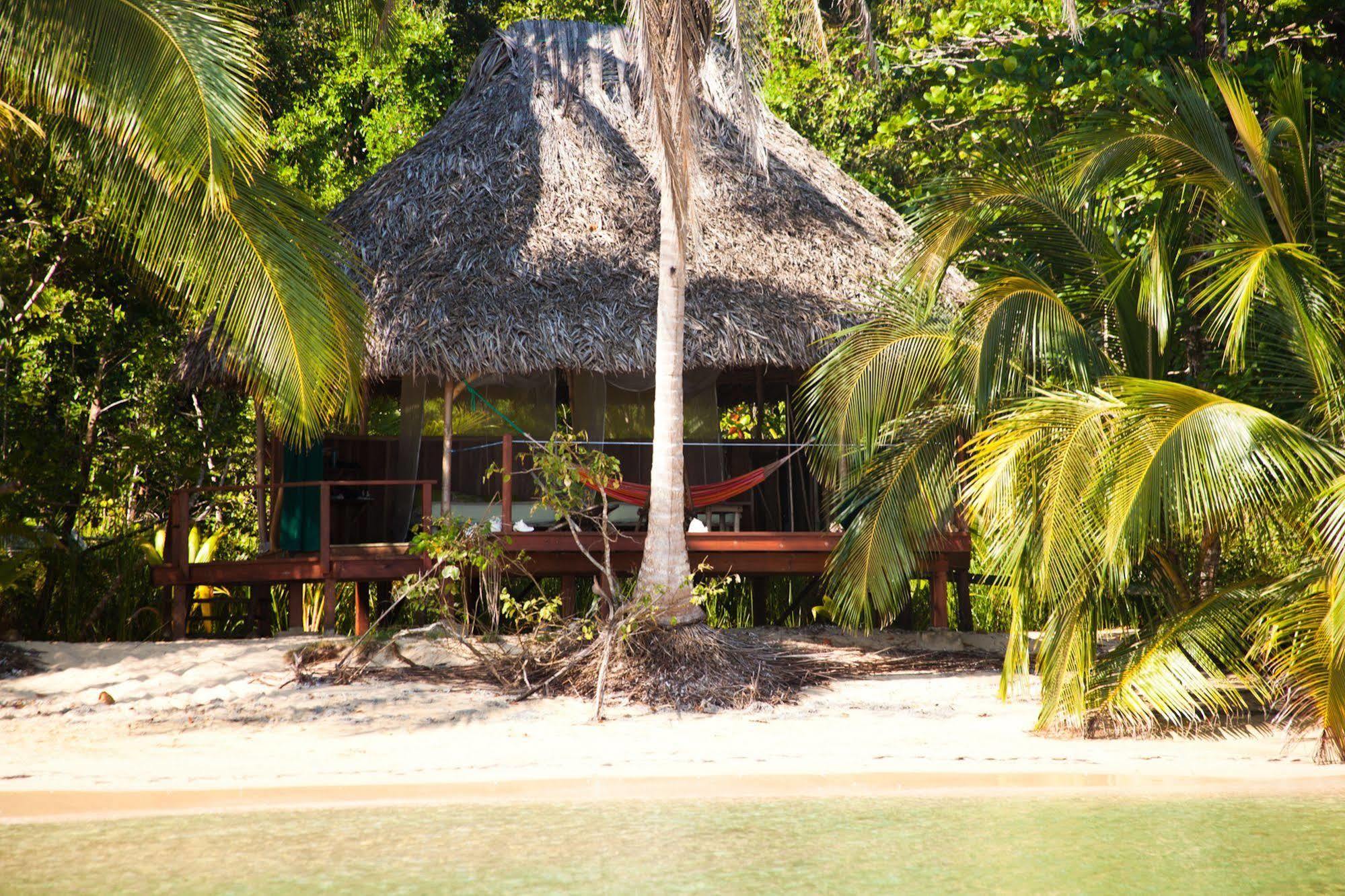 Al Natural Resort Bocas del Toro Exterior photo